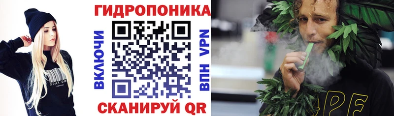Продажа наркотиков Елизово Cocaine  АМФ  Конопля 