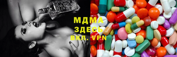 PSILOCYBIN Вяземский