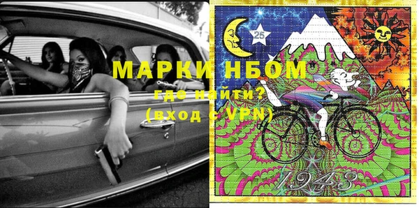 PSILOCYBIN Вяземский