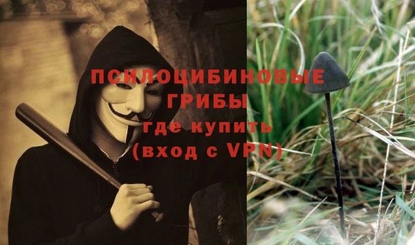 PSILOCYBIN Вяземский