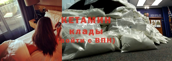 PSILOCYBIN Вяземский