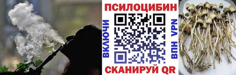 Галлюциногенные грибы мицелий Елизово